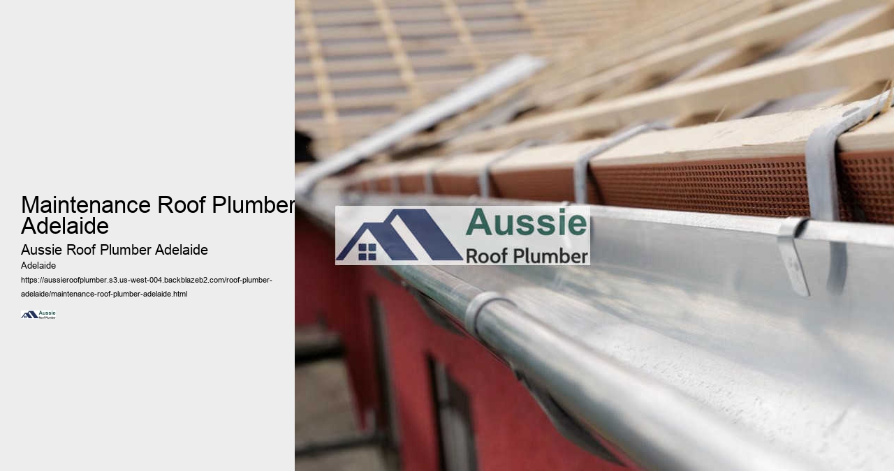 Maintenance Roof Plumber Adelaide