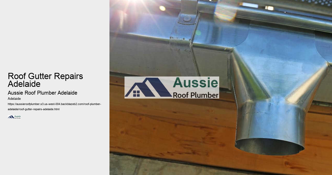 Roof Gutter Repairs Adelaide